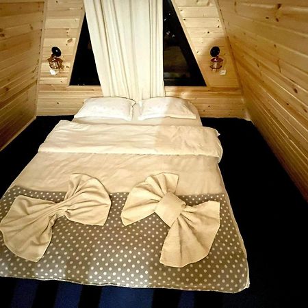 Ska Cottage Kazbegi Kültér fotó